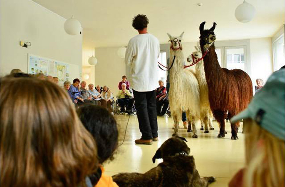 Suri Lamas im Altersheim Englisch-Gruss in Brig