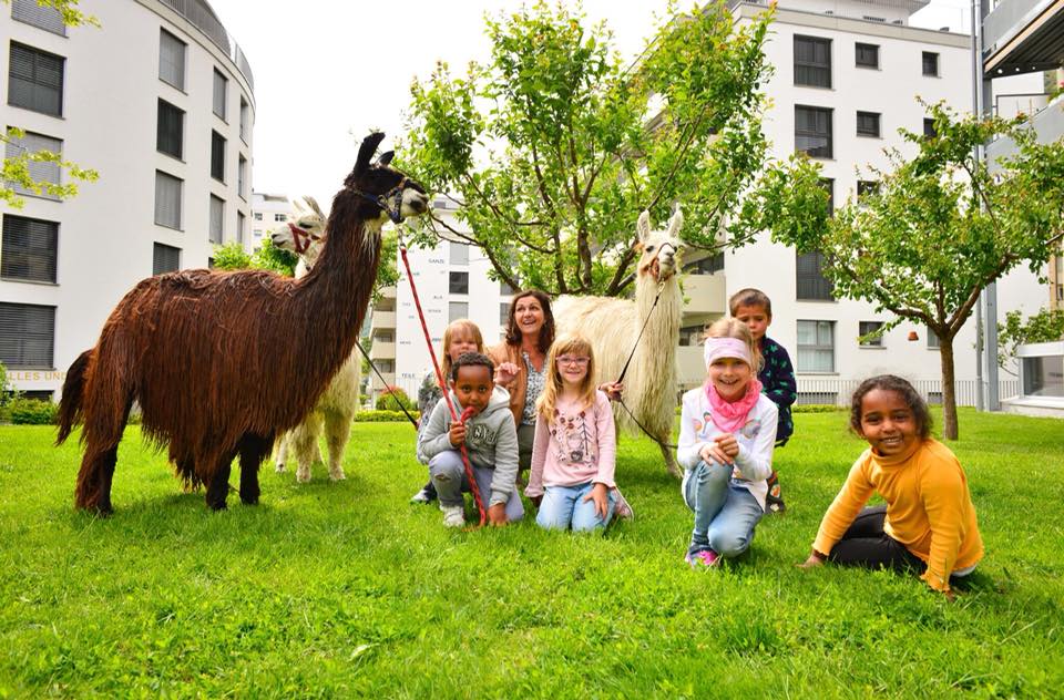 Suri Lamas im Altersheim Englisch-Gruss in Brig posieren mit der Kindergruppe